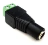 Plug P4 F�mea com Borne FS 505 - 5 Unidades
