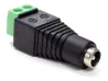 Plug P4 F�mea com Borne FS 505 - 5 Unidades