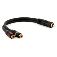 Cabo Y RCA com 1 F�mea para 2 Macho